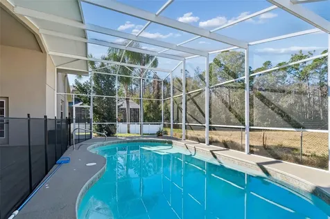 2328 Brinley Drive Trinity FL 34655