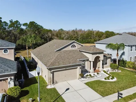 2328 Brinley Drive Trinity FL 34655
