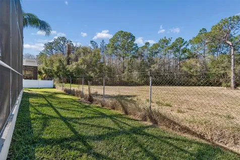 2328 Brinley Drive Trinity FL 34655