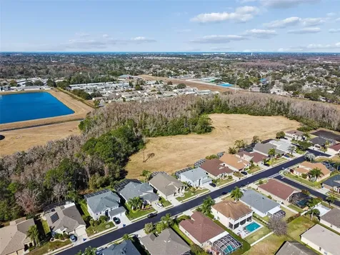 2328 Brinley Drive Trinity FL 34655