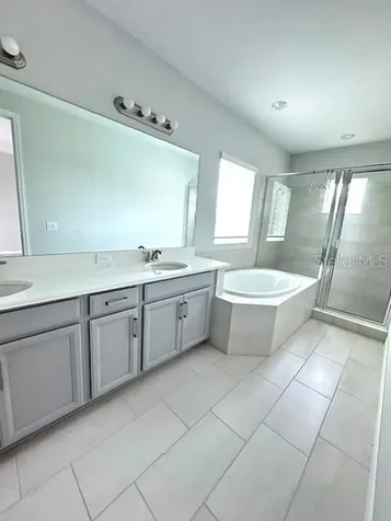 3860 Rose Mallow Drive Kissimmee FL 34746