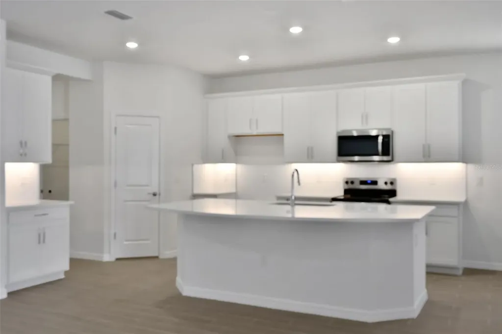 17441 Valleywood Parkway Land O Lakes FL 34638