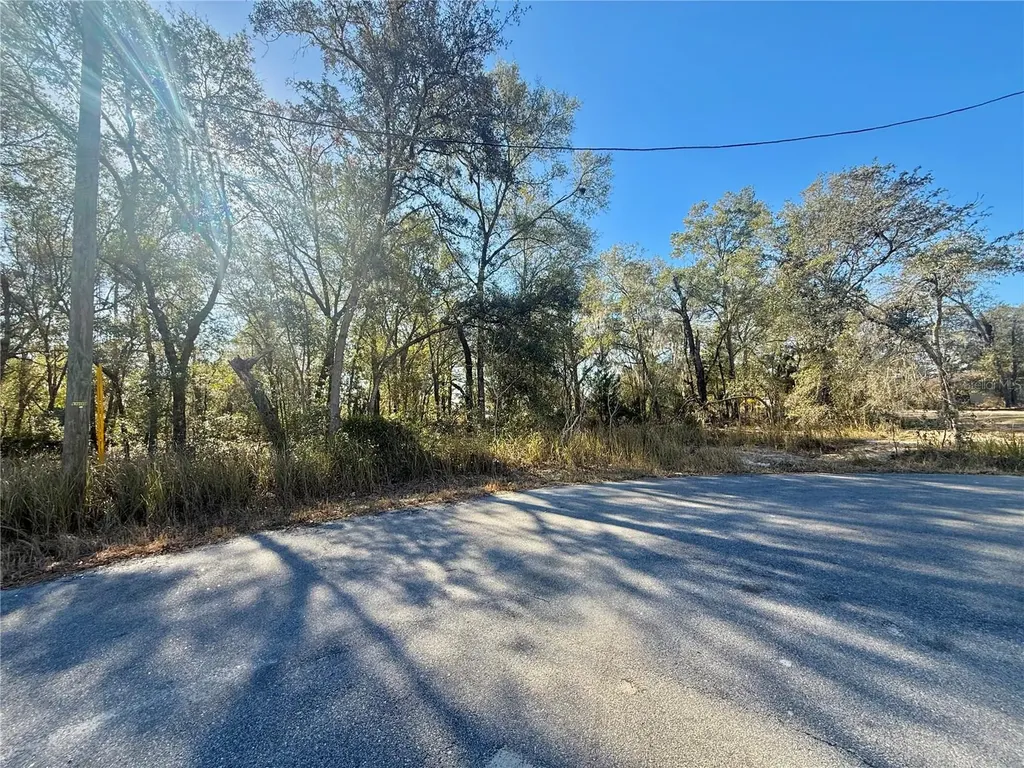 Tbd Lot 35 Locust Pass Court Ocala FL 34472