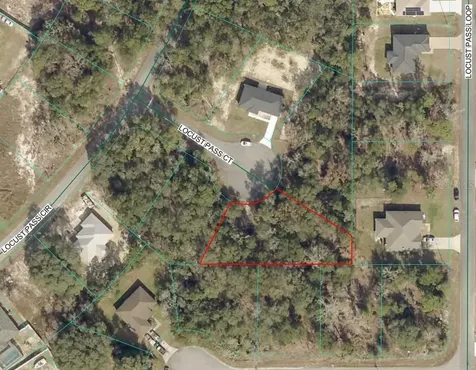 Tbd Lot 35 Locust Pass Court Ocala FL 34472