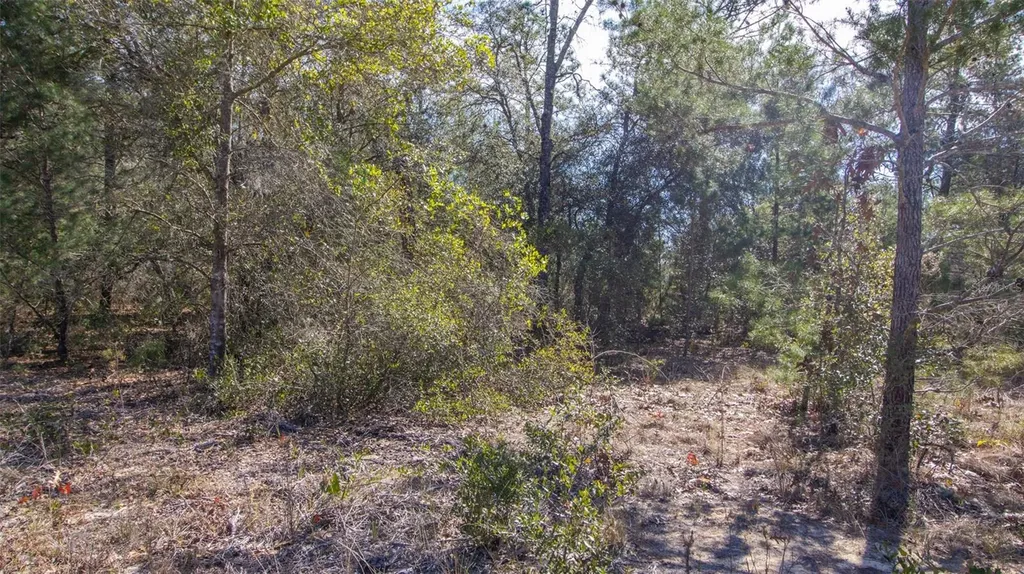 5851 Hillridge Road Keystone Heights FL 32656