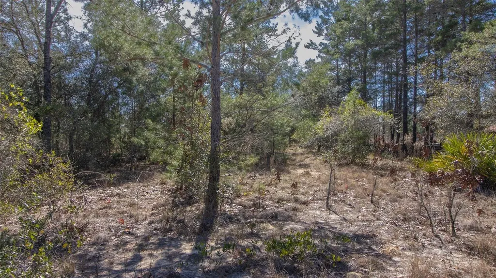 5851 Hillridge Road Keystone Heights FL 32656