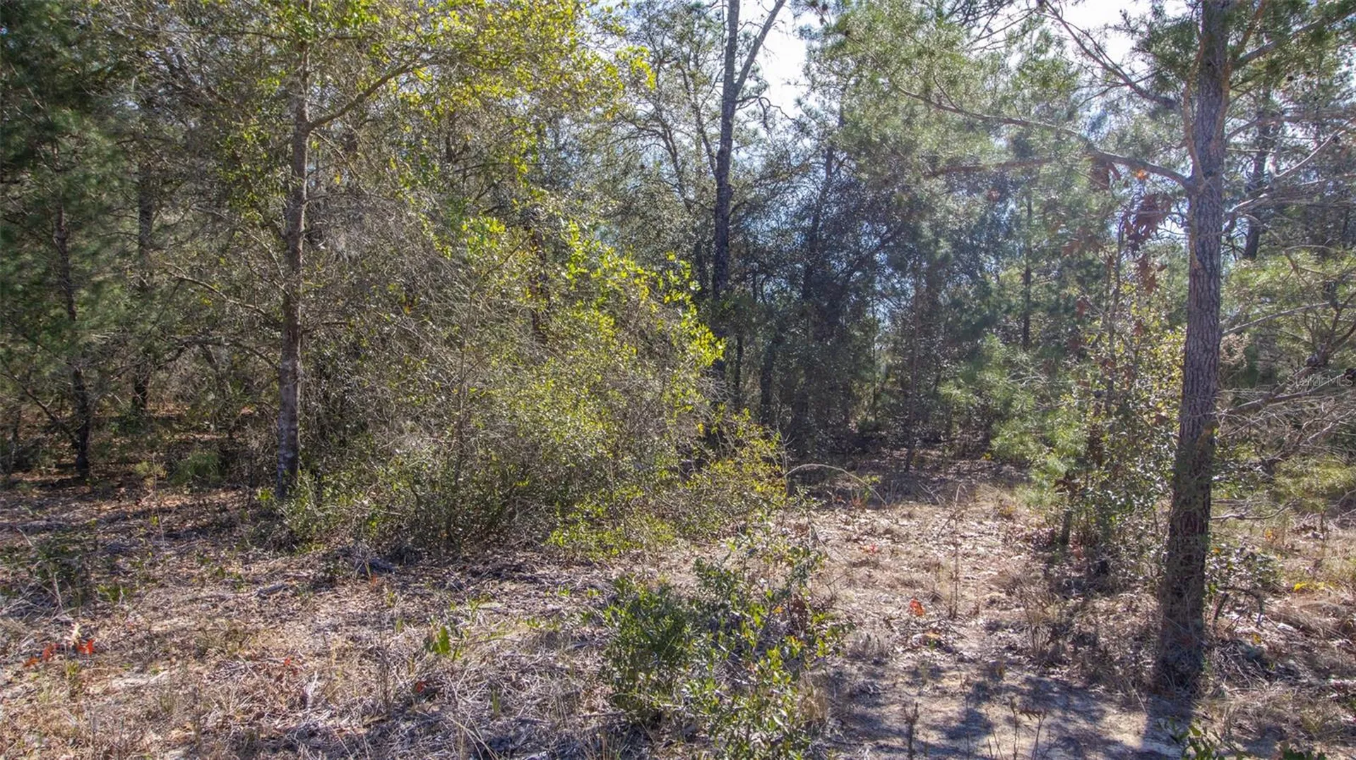 5851 Hillridge Road Keystone Heights FL 32656