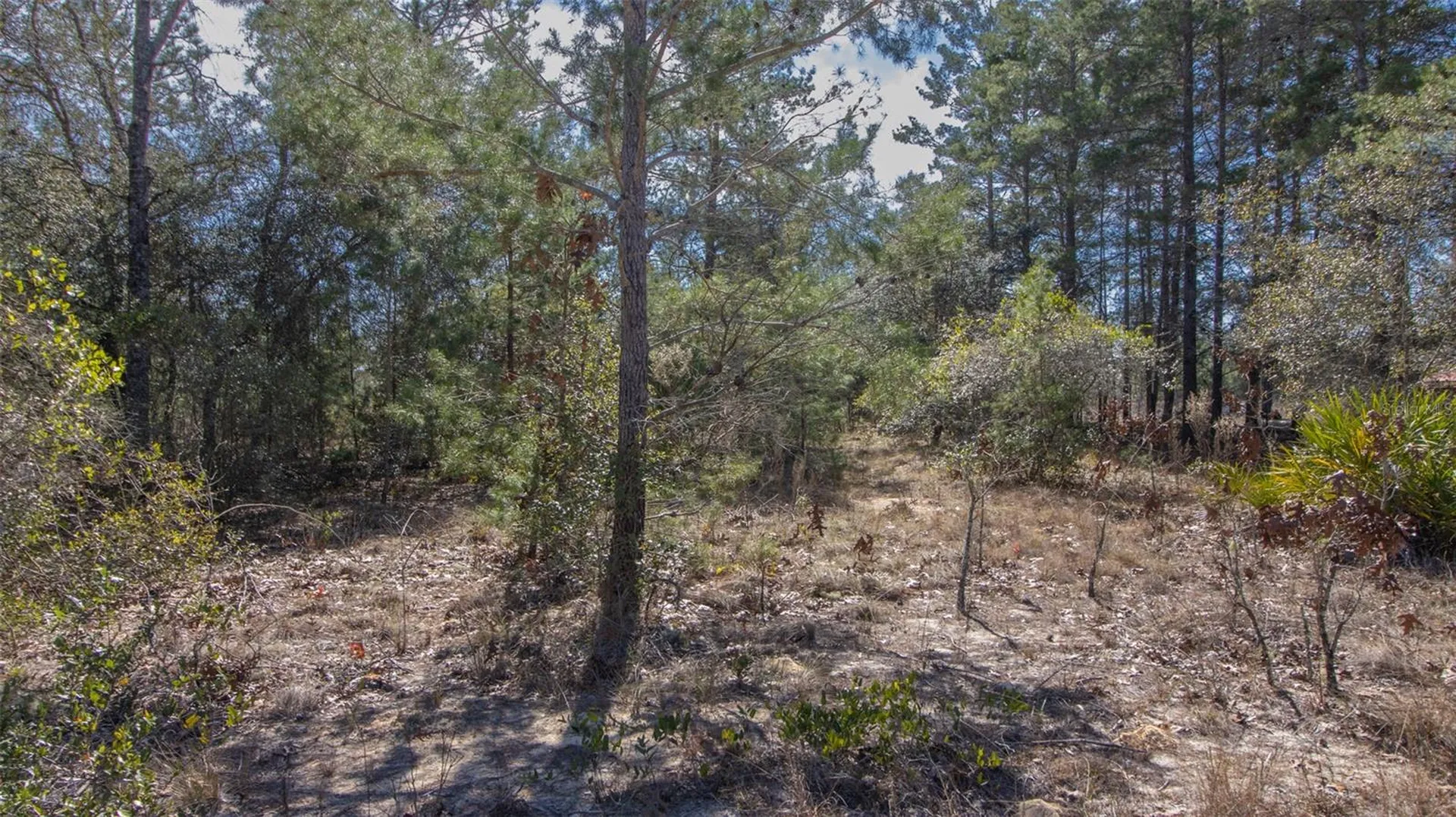 5851 Hillridge Road Keystone Heights FL 32656