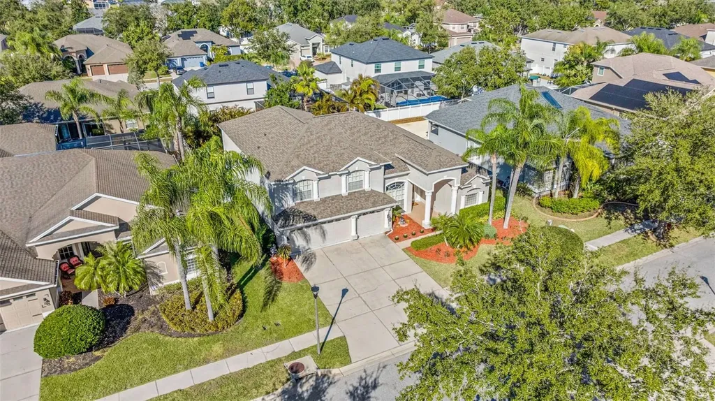 20817 Cedar Bluff Place Land O Lakes FL 34638