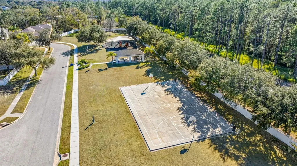 20817 Cedar Bluff Place Land O Lakes FL 34638