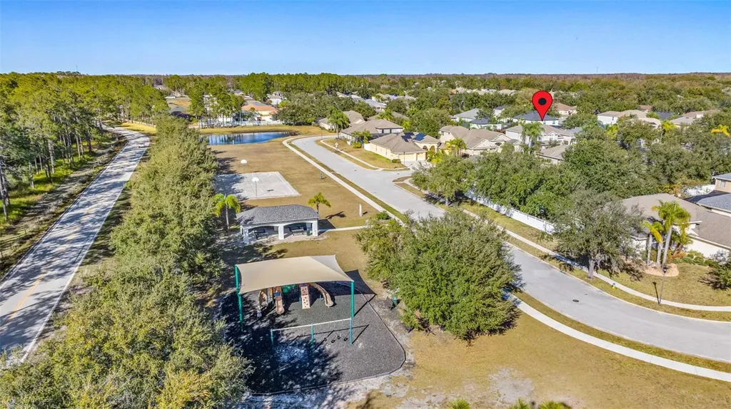 20817 Cedar Bluff Place Land O Lakes FL 34638
