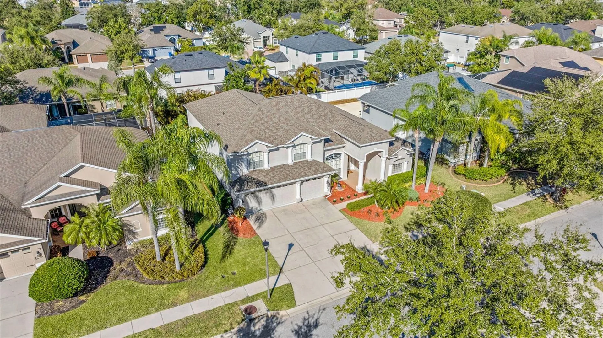 20817 Cedar Bluff Place Land O Lakes FL 34638