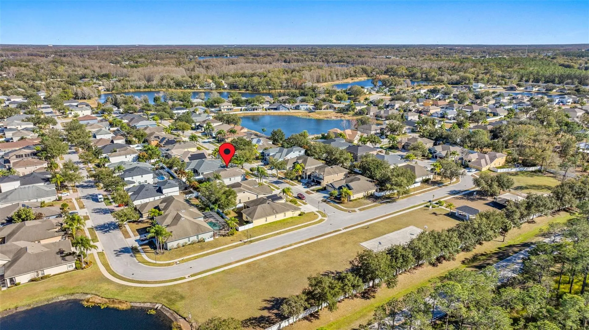 20817 Cedar Bluff Place Land O Lakes FL 34638