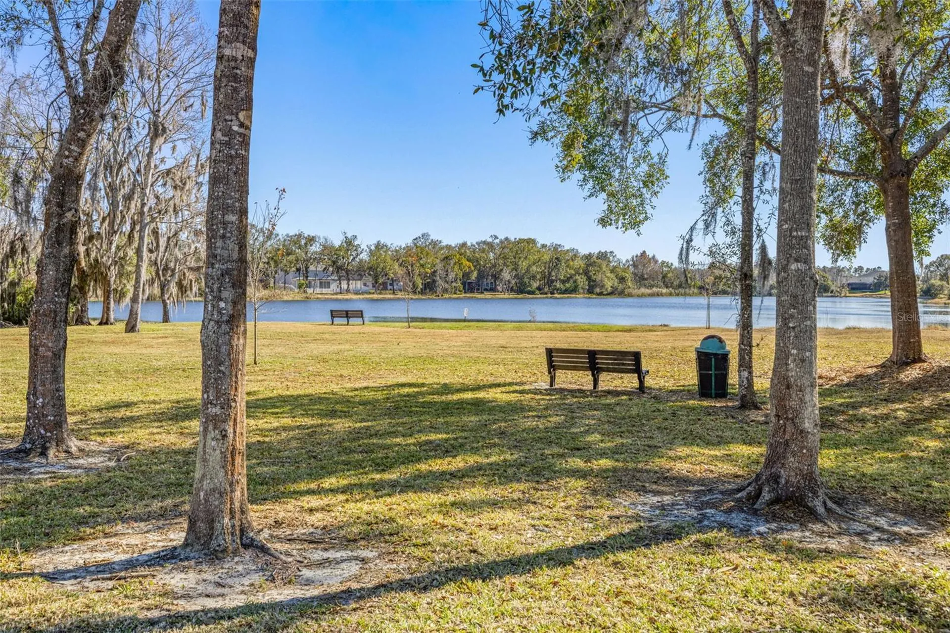 20817 Cedar Bluff Place Land O Lakes FL 34638