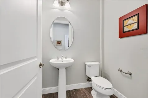 15625 Sylvester Palm Drive Winter Garden FL 34787