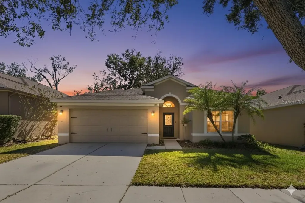 1129 Emerald Hill Way Valrico FL 33594