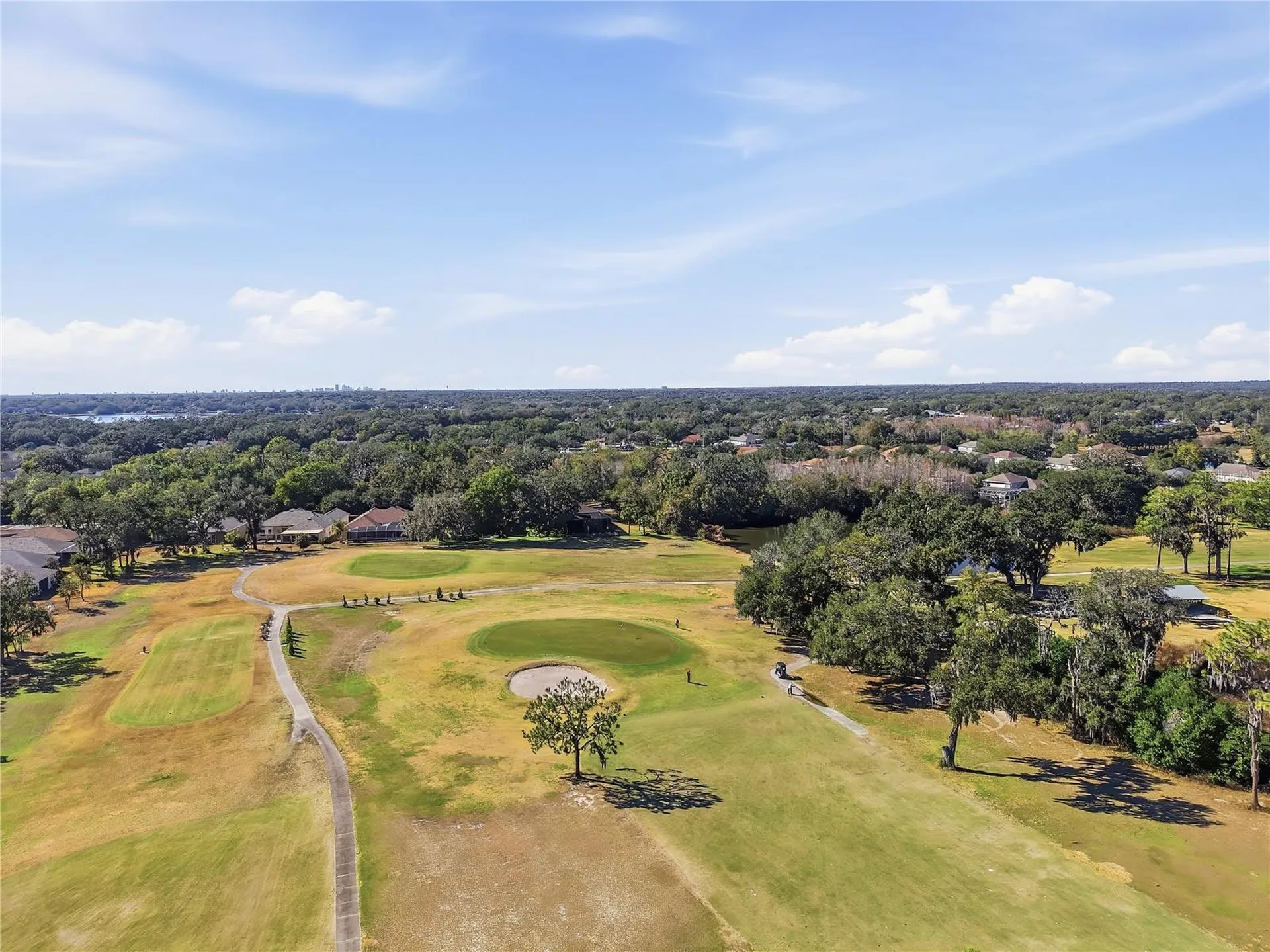 1129 Emerald Hill Way Valrico FL 33594
