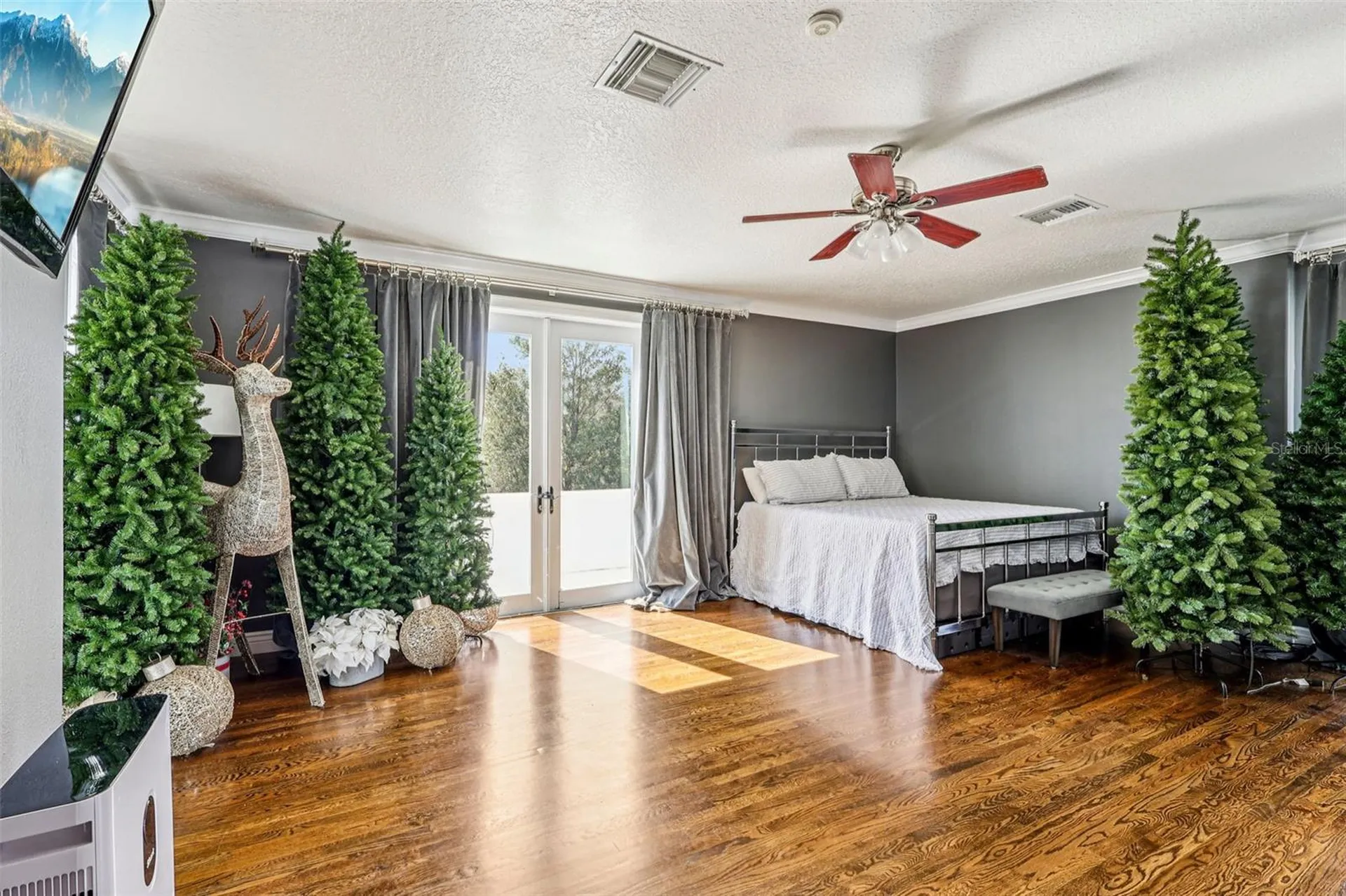 36530 Lazy B Lane Eustis FL 32736