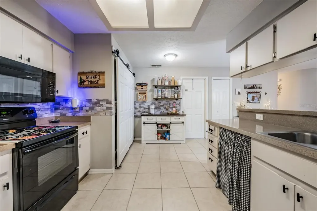 23205 Club Villas Drive Land O Lakes FL 34639