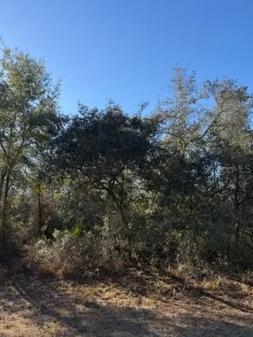 Tbd SW 158th Street Road Ocala FL 34473