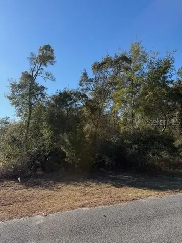 Tbd SW 158th Street Road Ocala FL 34473