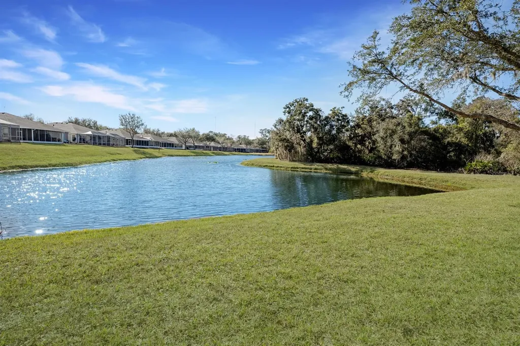 5911 Phoebenest Drive Lithia FL 33547