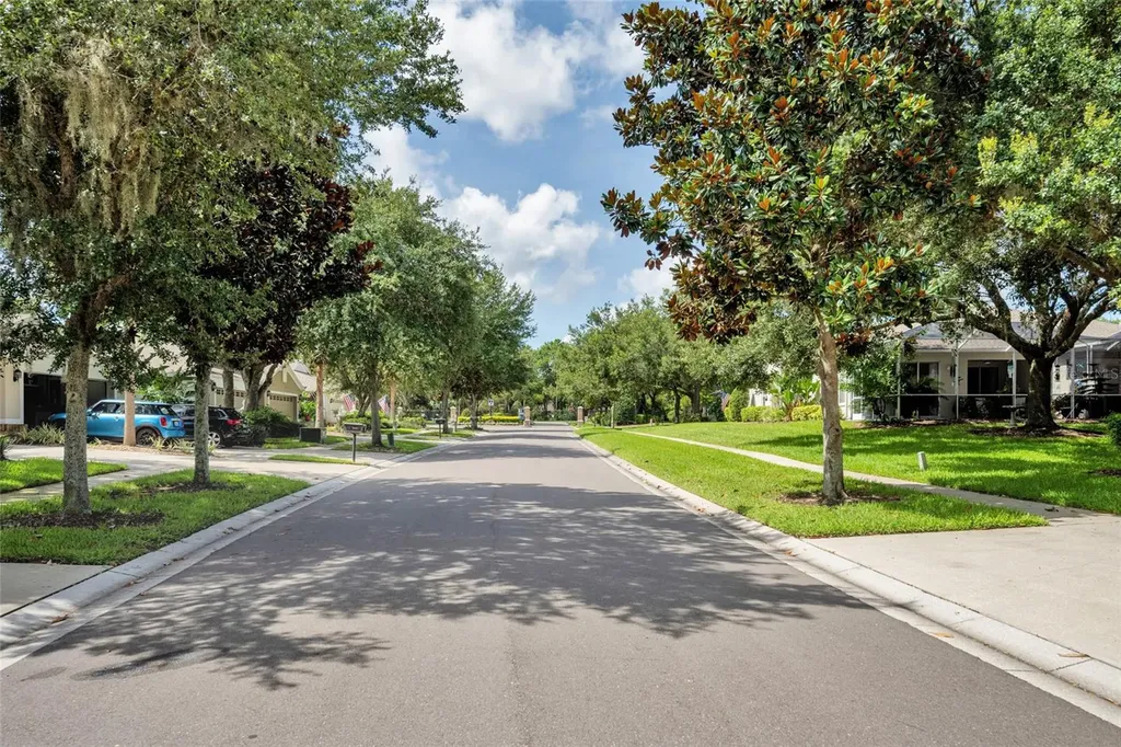 5911 Phoebenest Drive Lithia FL 33547