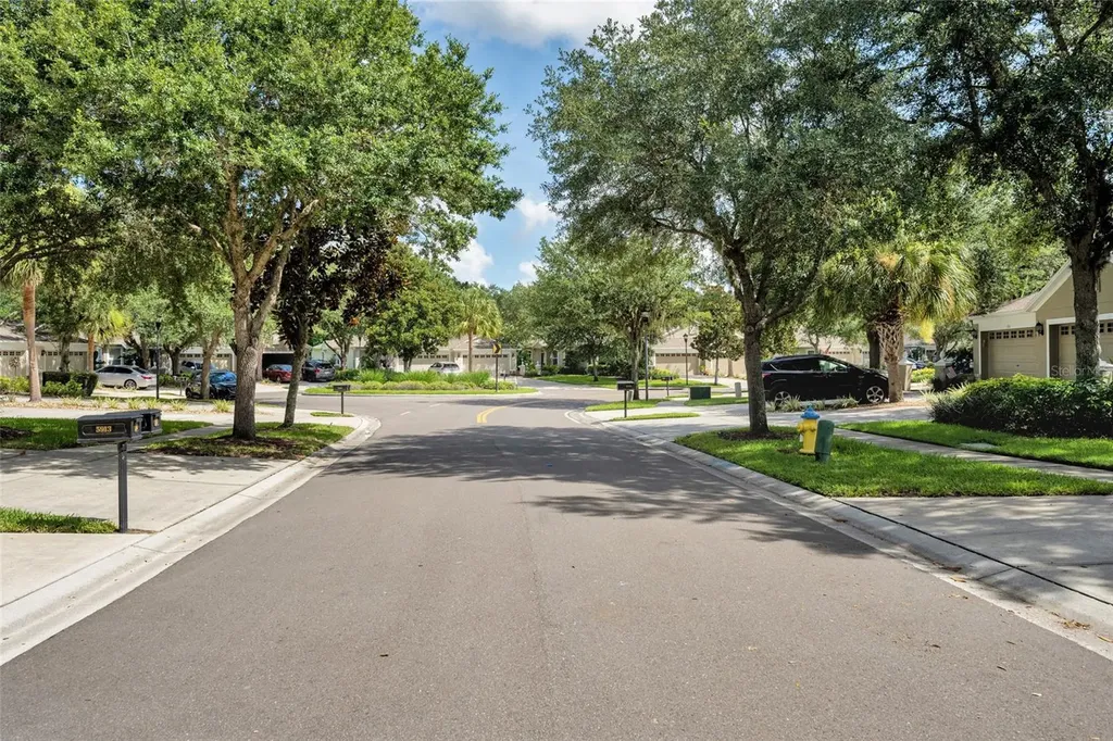 5911 Phoebenest Drive Lithia FL 33547