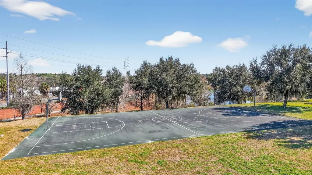 2451 Plumadore Drive Grand Island FL 32735