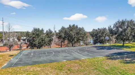 2451 Plumadore Drive Grand Island FL 32735