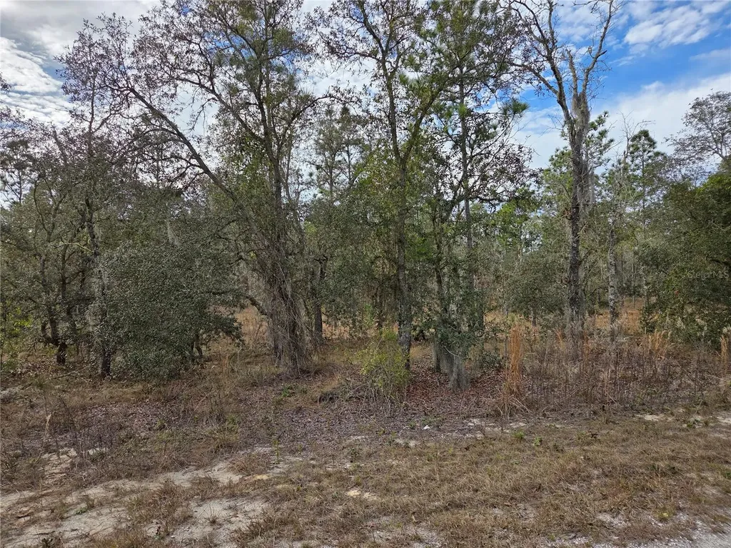 0000 SE 128th Avenue Dunnellon FL 34431