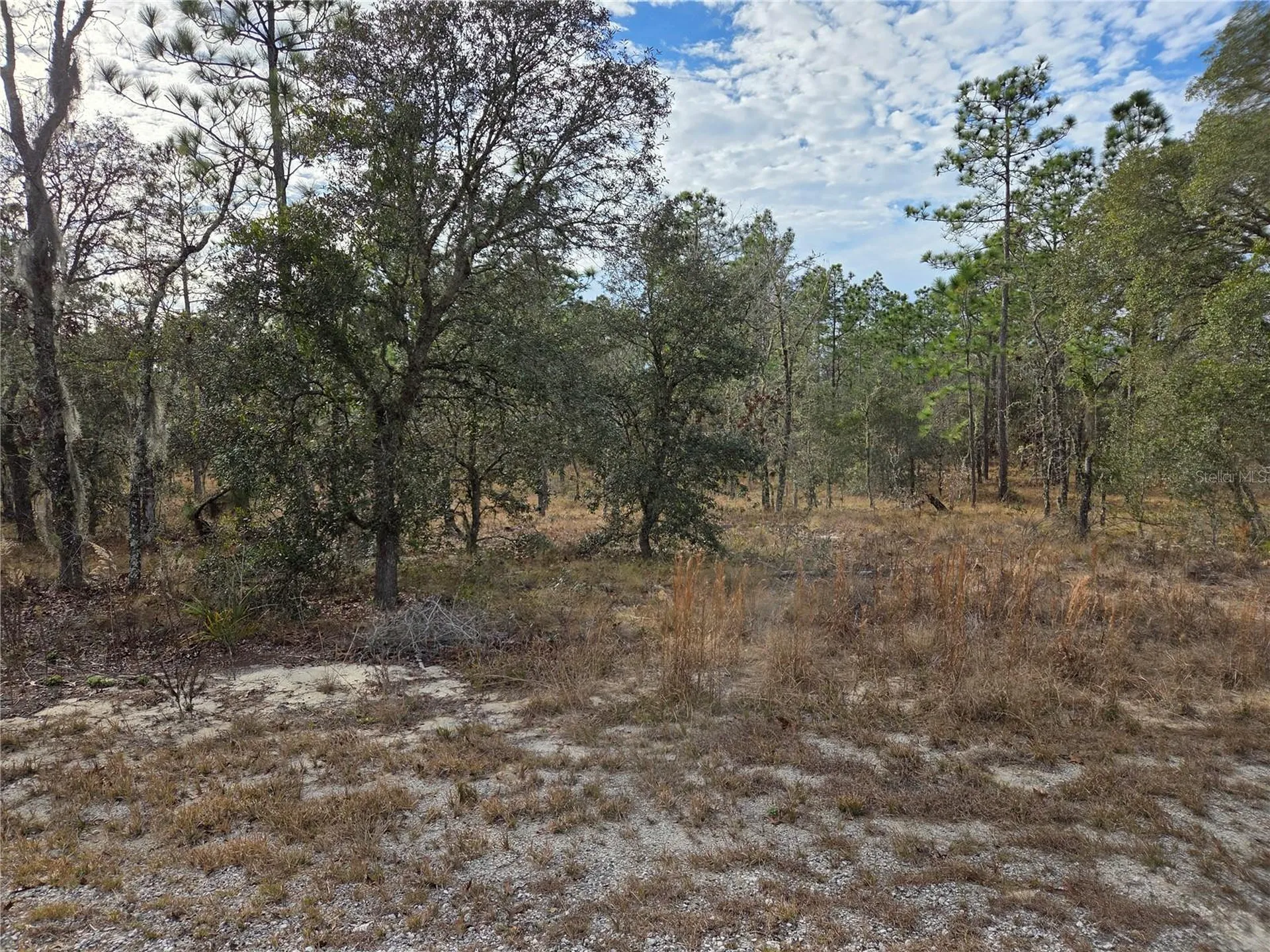 0000 SE 128th Avenue Dunnellon FL 34431