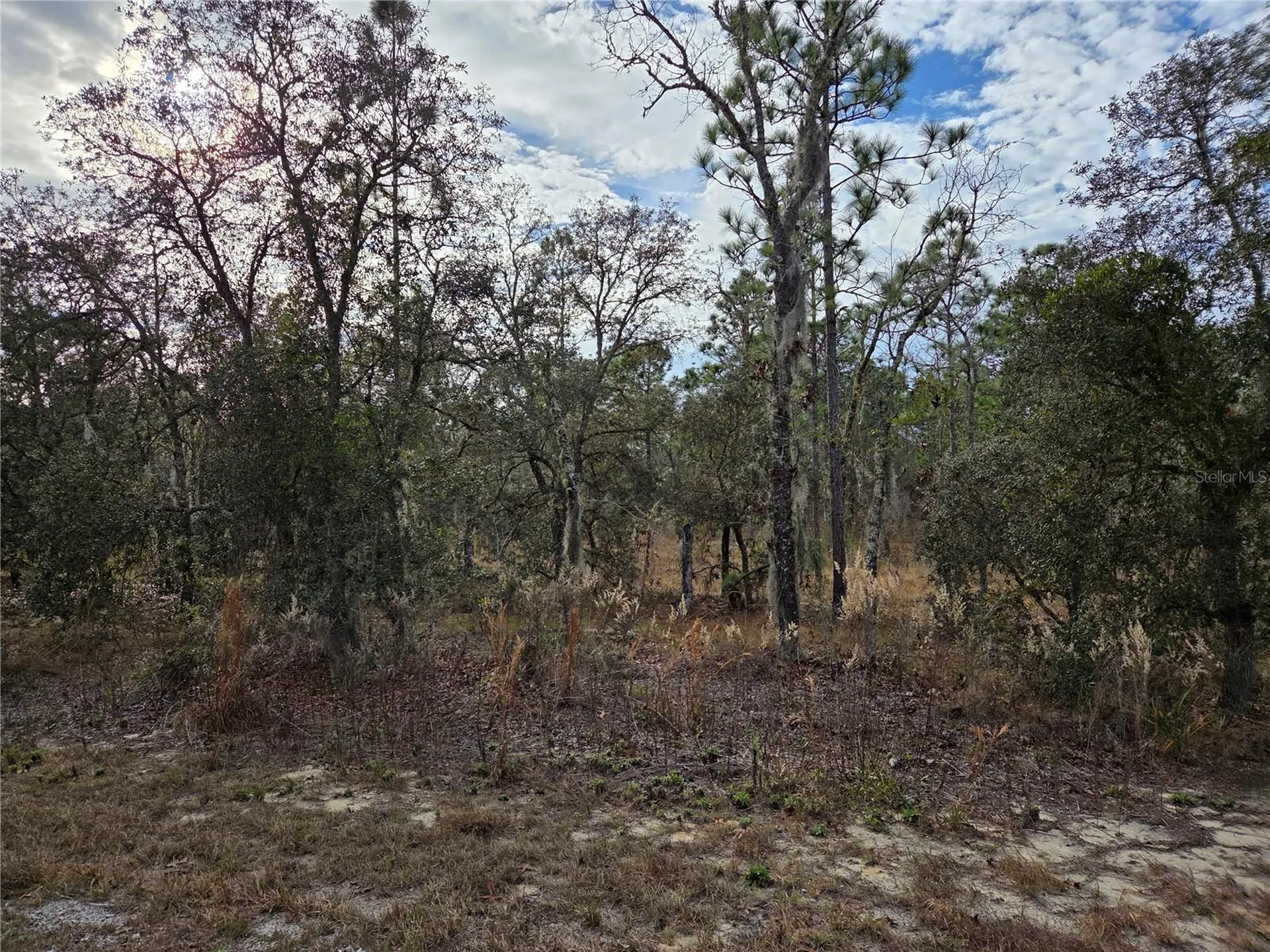0000 SE 128th Avenue Dunnellon FL 34431