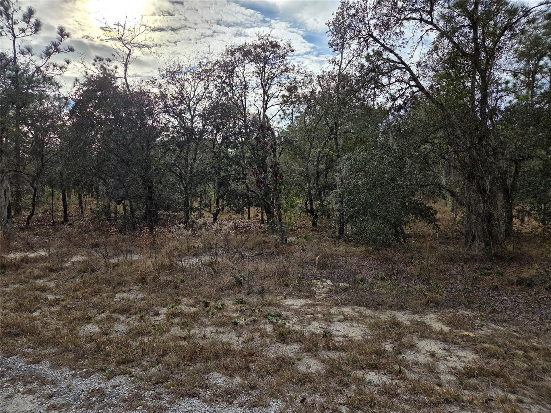 0000 SE 128th Avenue Dunnellon FL 34431