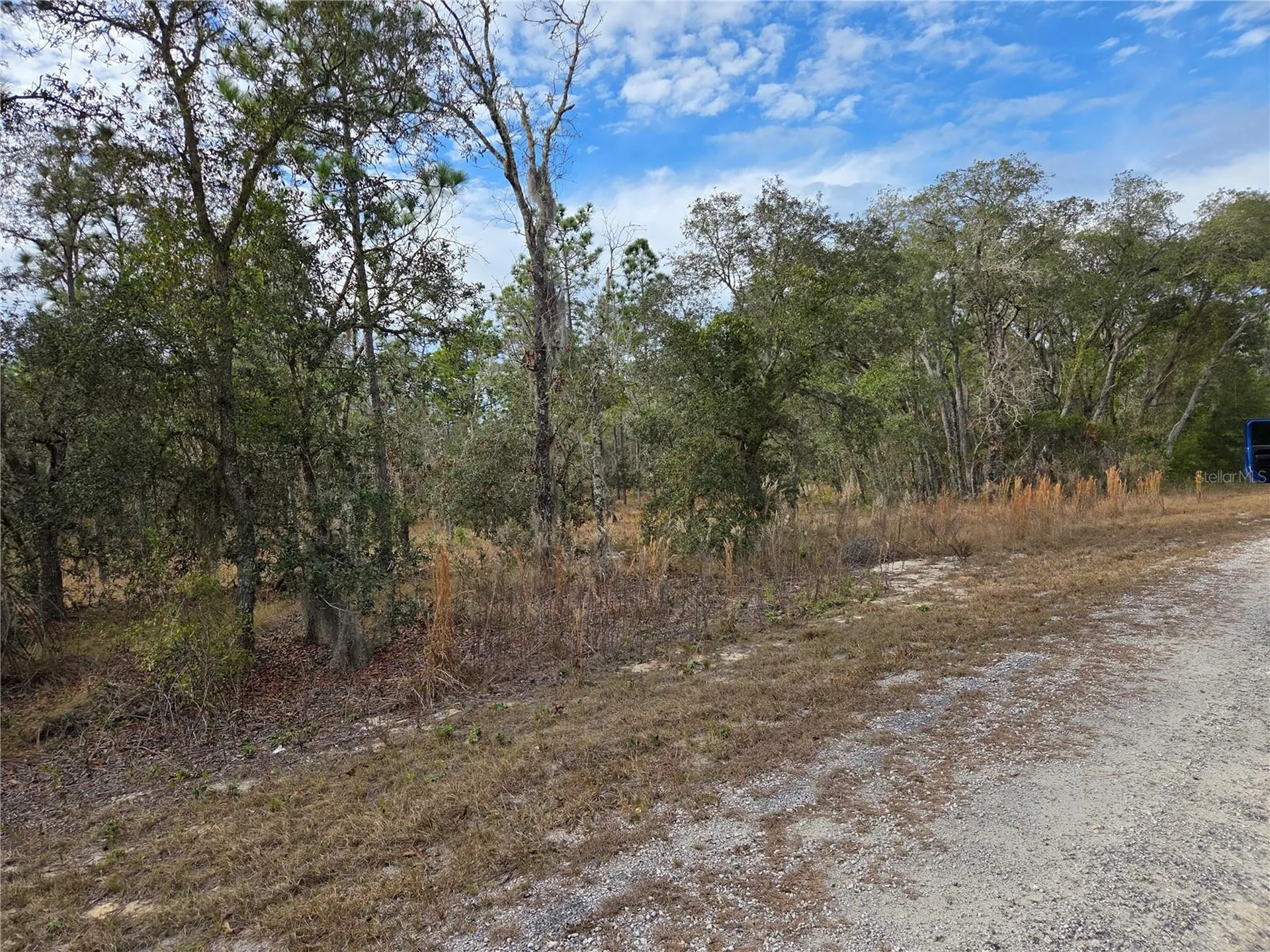 0000 SE 128th Avenue Dunnellon FL 34431