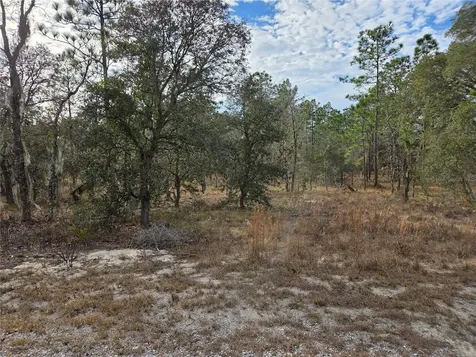 0000 SE 128th Avenue Dunnellon FL 34431