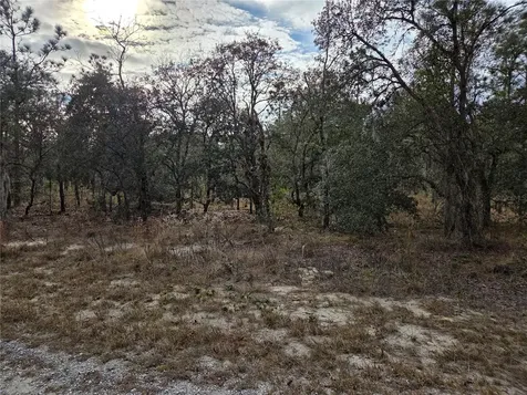 0000 SE 128th Avenue Dunnellon FL 34431