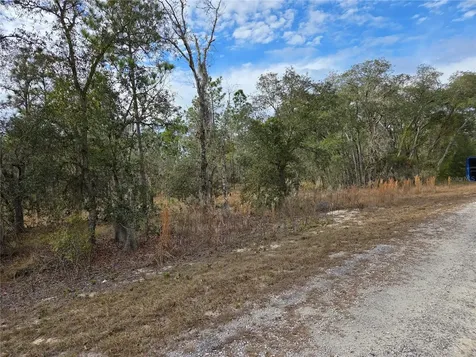 0000 SE 128th Avenue Dunnellon FL 34431