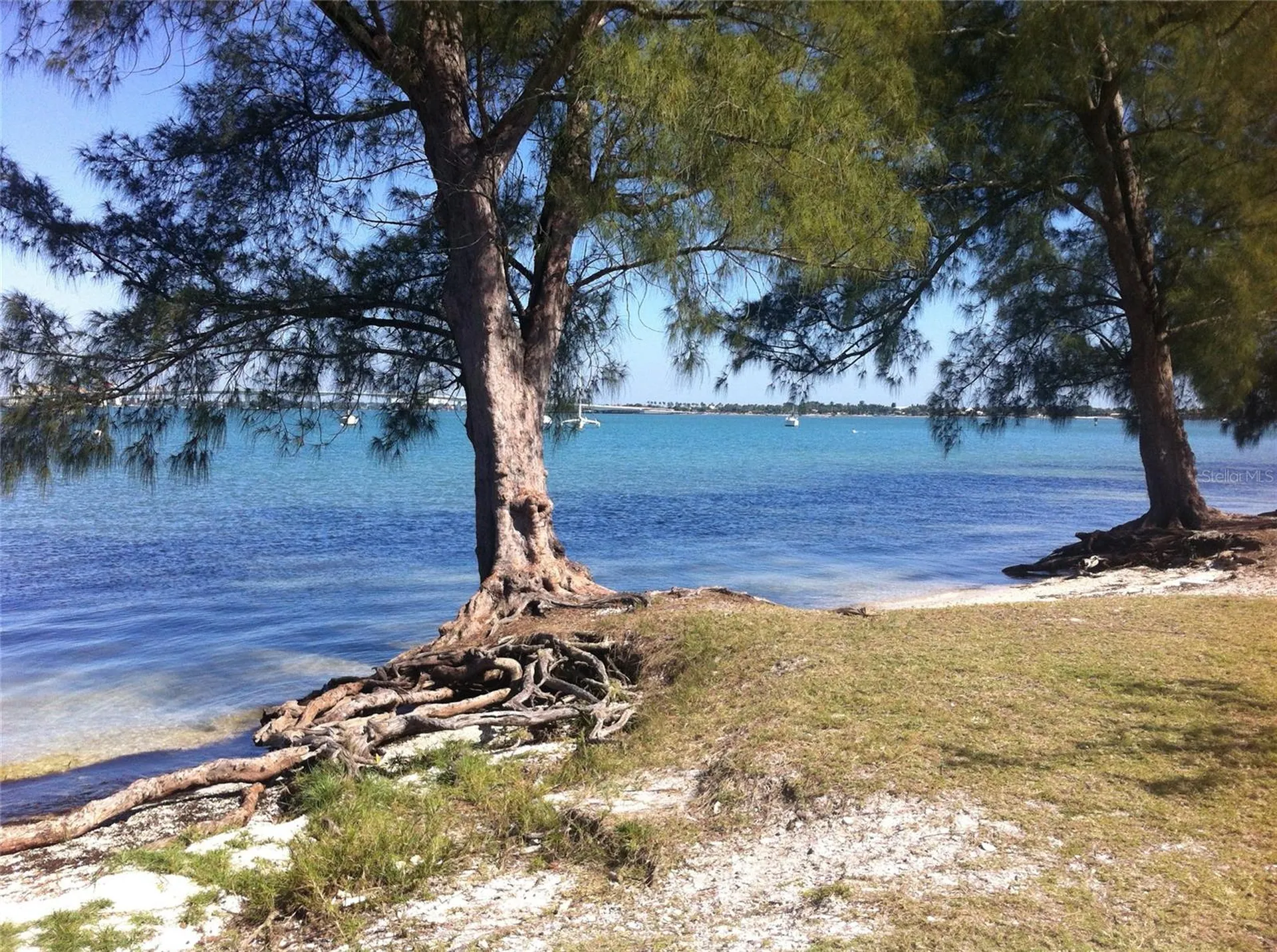 656 Bird Bay Circle Venice FL 34285