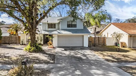 12604 Rain Forest Street Temple Terrace FL 33617
