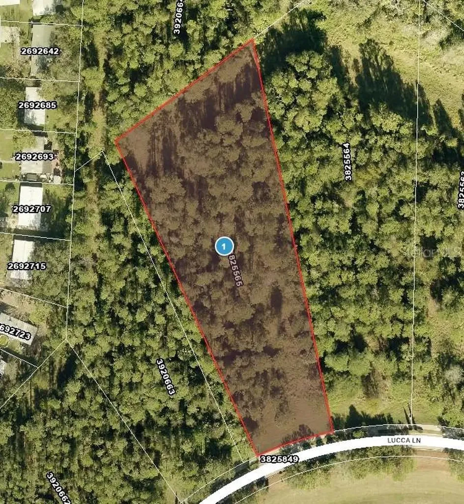 17001 Lucca Lane Bella Collina FL 34756
