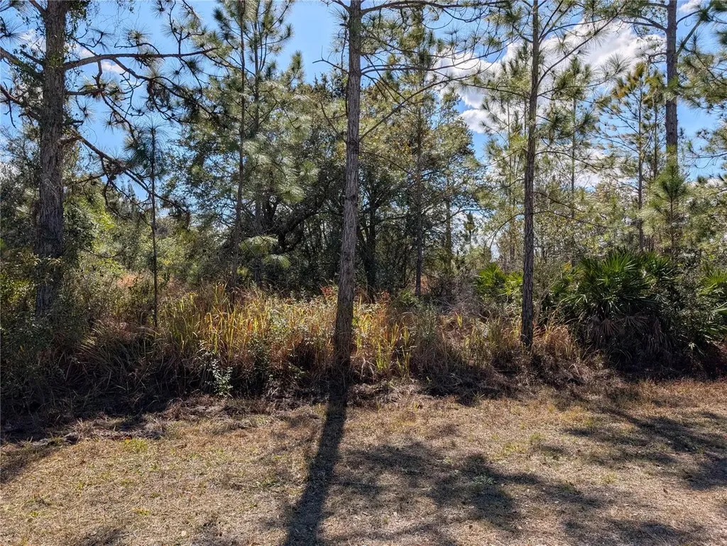 711 Azalea Drive Indian Lake Estates FL 33855