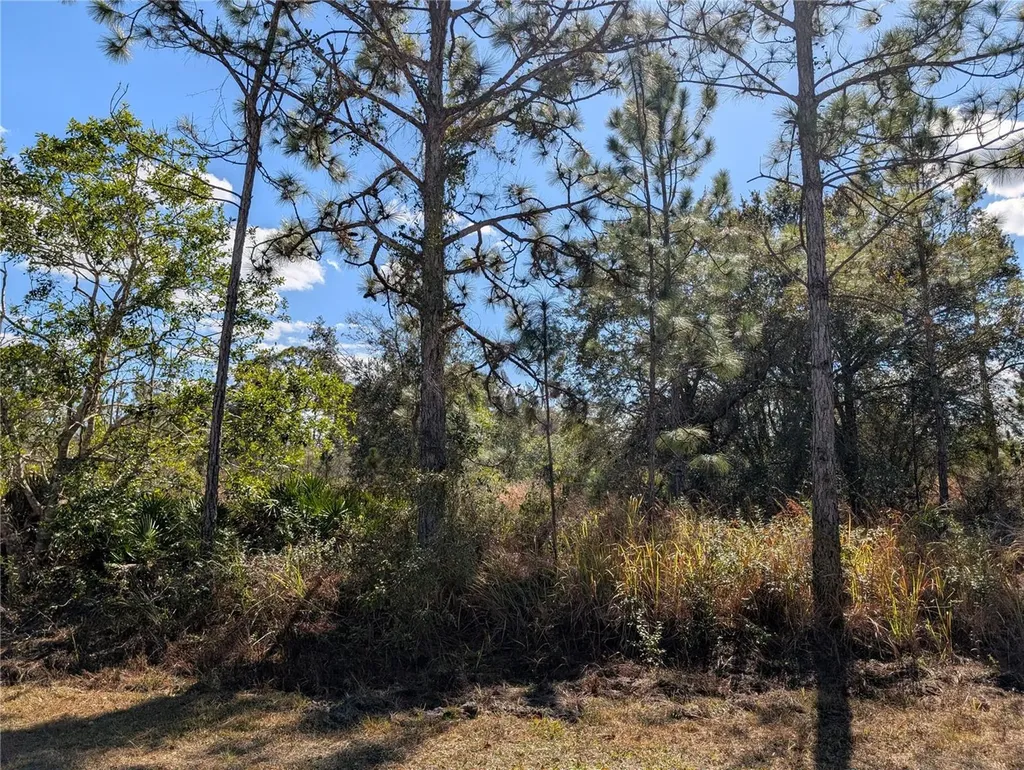 711 Azalea Drive Indian Lake Estates FL 33855