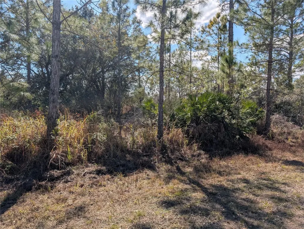 711 Azalea Drive Indian Lake Estates FL 33855