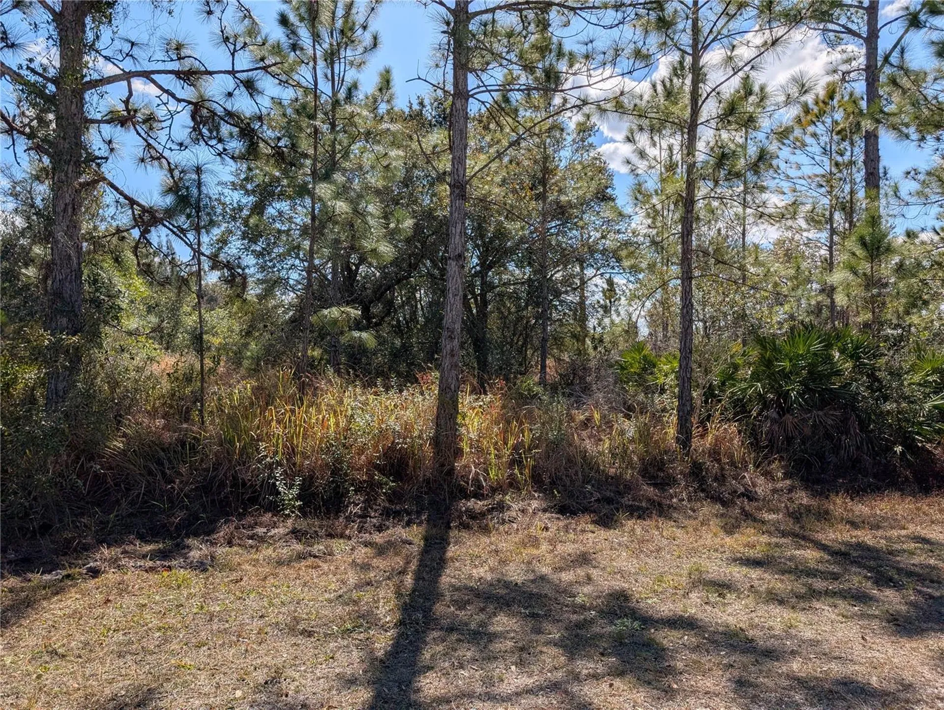 711 Azalea Drive Indian Lake Estates FL 33855