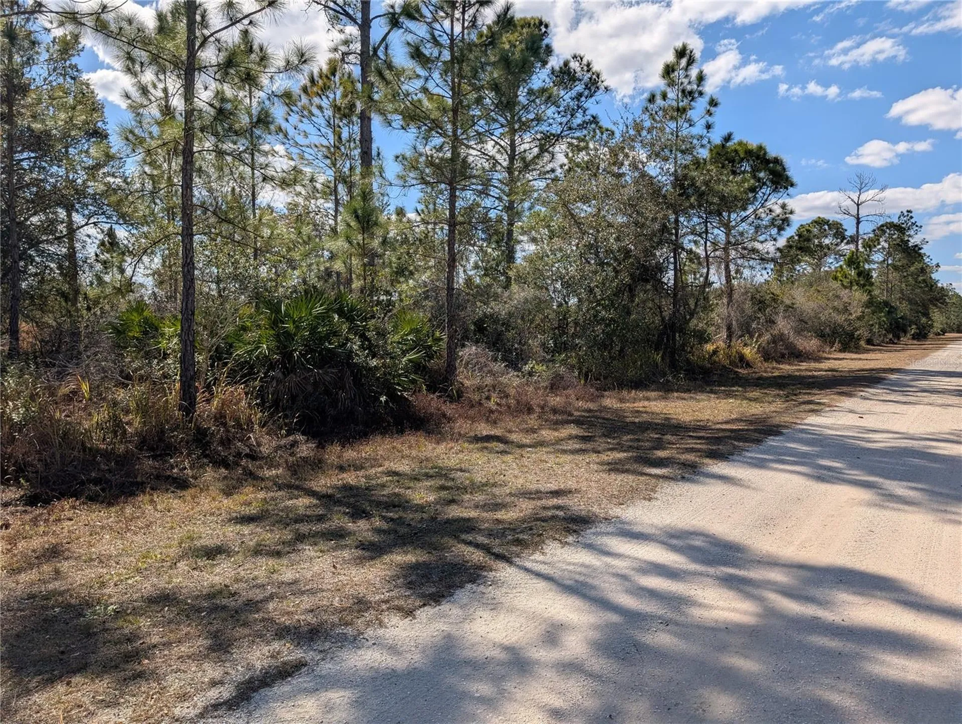 711 Azalea Drive Indian Lake Estates FL 33855
