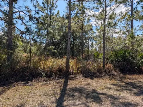 711 Azalea Drive Indian Lake Estates FL 33855