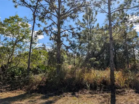 711 Azalea Drive Indian Lake Estates FL 33855