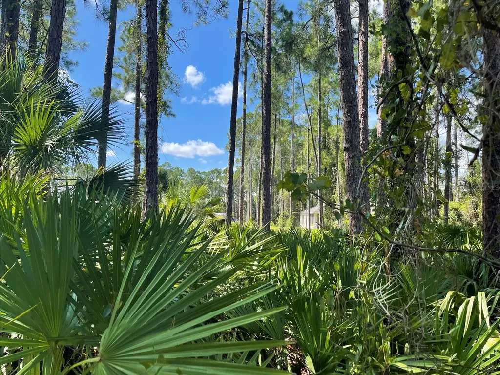 Noppenberg Avenue North Port FL 34288