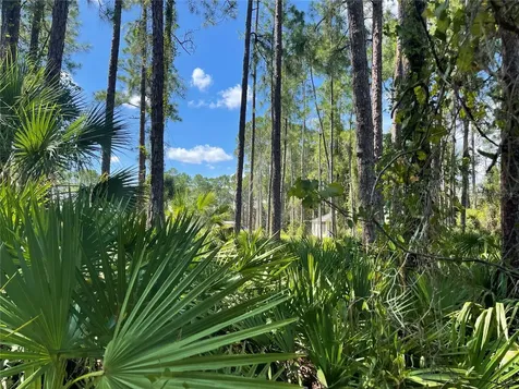 Noppenberg Avenue North Port FL 34288
